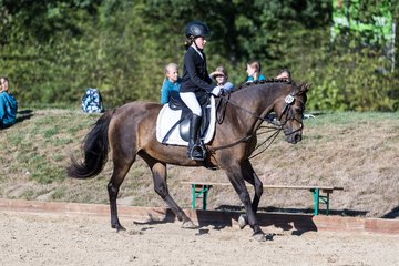 Bild 70 - Pony Akademie Turnier